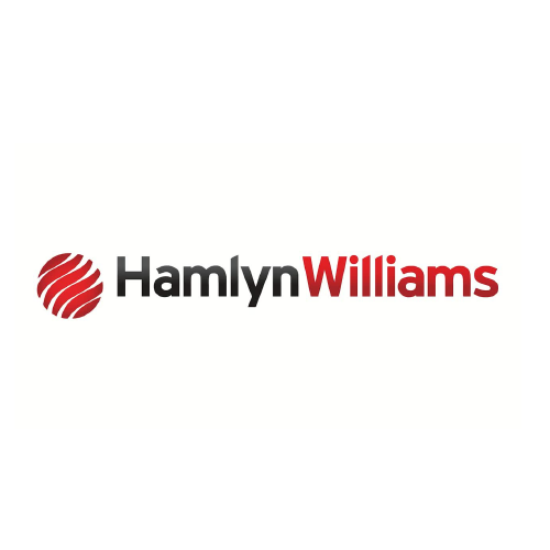 hamlyn williams-01